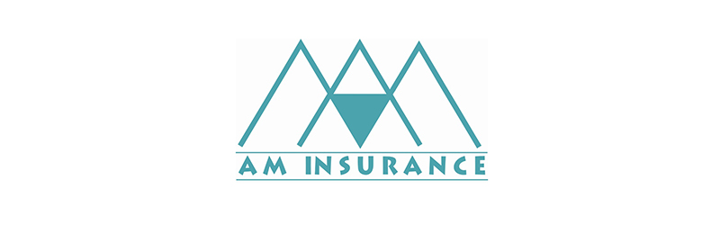Am Insurance