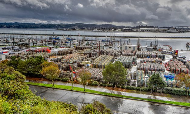 Port of Newport, Oregon