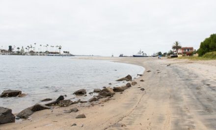 Port of San Diego to replenish sand at Kellogg Beach