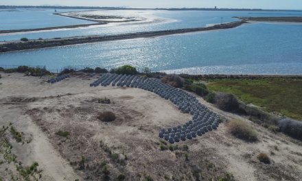 Port of San Diego Installing More Than 300 “Reef Balls” to Help Protect South Bay from Rising Sea Levels