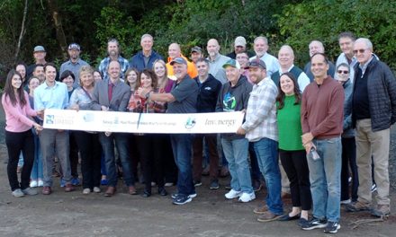 Grays Harbor celebrates completion of Haul Road Erosion Mid-Term Strategy Project