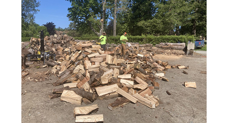 Port of Skagit creates Community Firewood Program