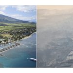 APP members can help with recovery from Maui fires