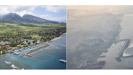 APP members can help with recovery from Maui fires